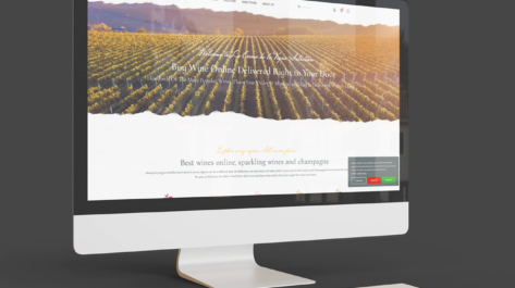 Site-interner-la-creme-de-la-vigne