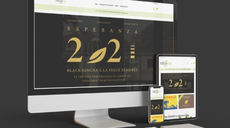 Creation site internet ozzatea