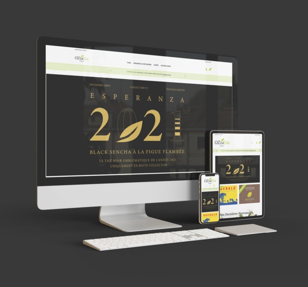 Creation site internet ozzatea